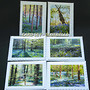 6 Card set - Bluebells