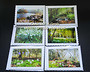 Set 6 cards - White Spring Flowers